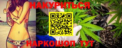 крисы Заводоуковск