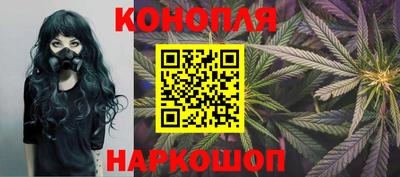 крисы Заводоуковск
