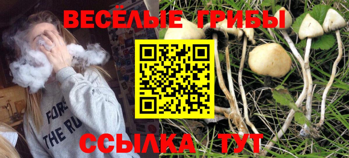 Нефтекамск  Псилоцибиновые грибы мицелий  Вход с VPN 