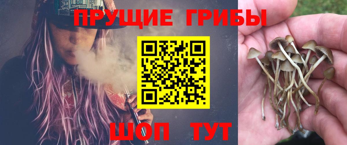 Галлюциногенные грибы мухоморы Нефтекамск